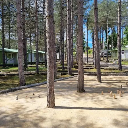 مكان تخييم Mobil 4 Pers Avec Terrasse - Api-1-52-828 Gondrin